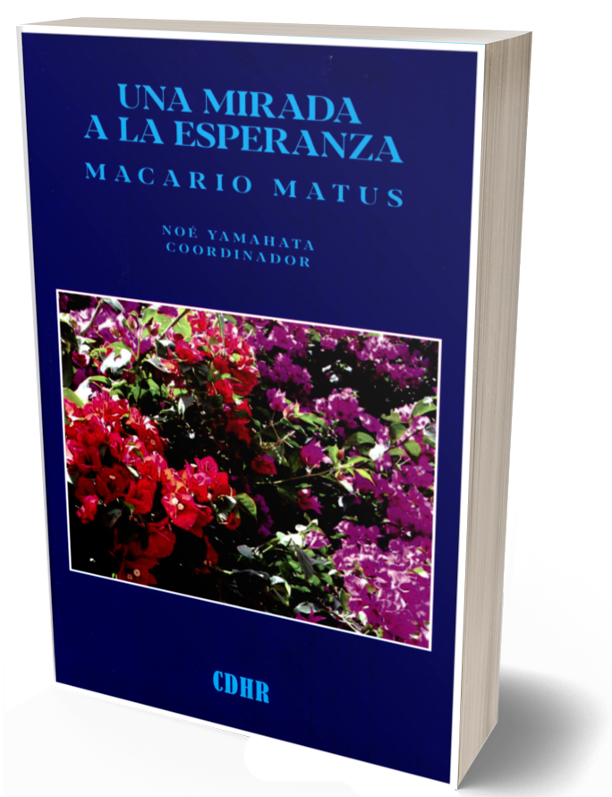 Una mirada a la esperanza. Macario Matus